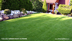 Použité trávne osivo BAR SUPERB Barenbrug pre green (Detva - záhrada)