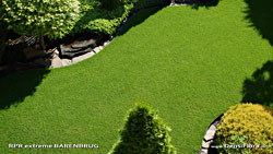 Wimbledonský trávnik s osivom RPR extreme Barenbrug