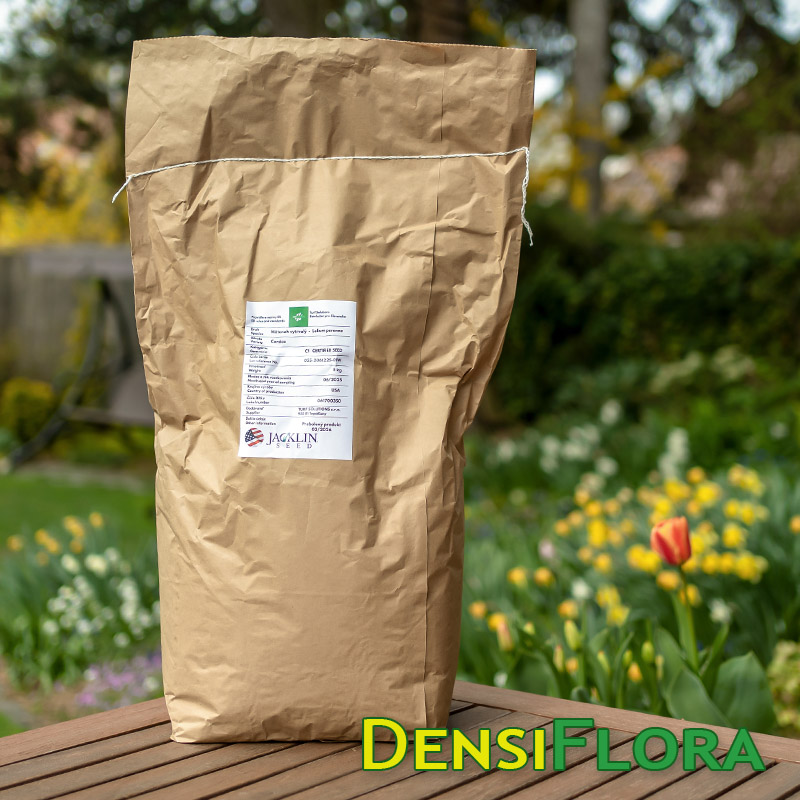 CORSICA - Športový profesionálny trávnik z Mätonohu trváceho, Lolium perenne CSI, 5kg